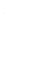 Flying Doves